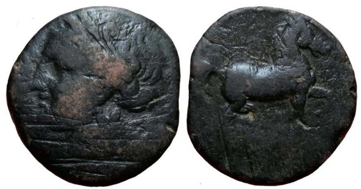 Ae-16-With-Bust-And-Horse---Macedon?--Carthage?--Or?